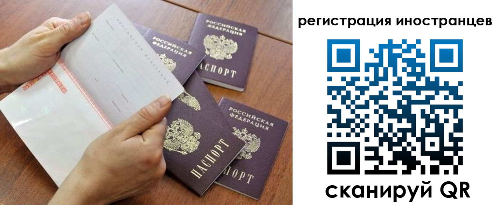 прописка поиск в Райчихинске